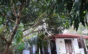 Eagle Homestay